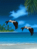 anim240320mobildesign.atw.hu_0308.gif
